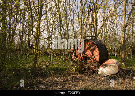 Macchina abbandonata nel bosco Foto Stock