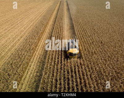 La mietitura maizefield in Germania - vista aerea Foto Stock