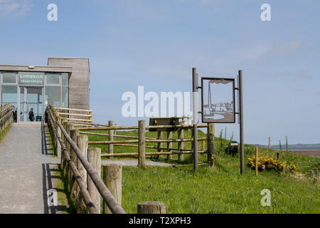 WWT Castle Espie riserva, dalla pettinatrice, County Down, Irlanda del Nord. Foto Stock