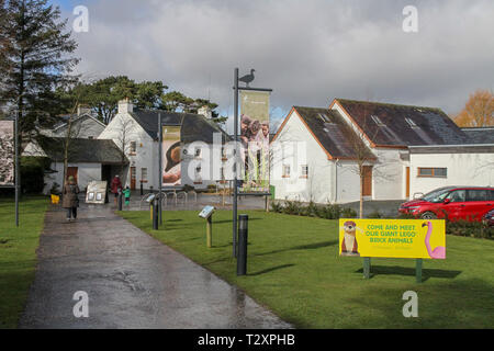 WWT Castle Espie riserva, dalla pettinatrice, County Down, Irlanda del Nord. Foto Stock