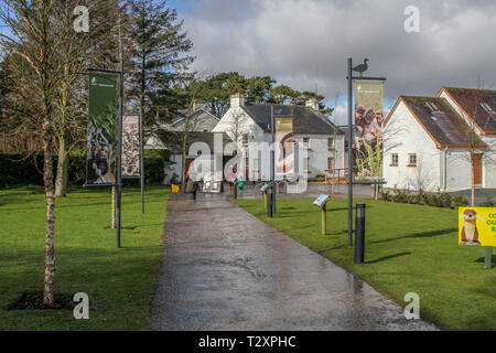 WWT Castle Espie riserva, dalla pettinatrice, County Down, Irlanda del Nord. Foto Stock