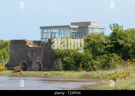 WWT Castle Espie riserva, dalla pettinatrice, County Down, Irlanda del Nord. Foto Stock