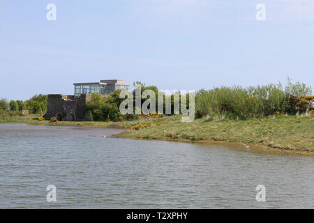 WWT Castle Espie riserva, dalla pettinatrice, County Down, Irlanda del Nord. Foto Stock