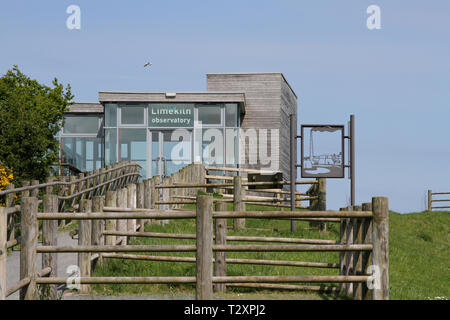 WWT Castle Espie riserva, dalla pettinatrice, County Down, Irlanda del Nord. Foto Stock