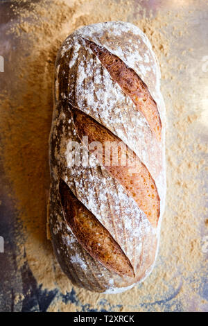 Un pane di pasta madre casalinga il pane su una placca da forno. Foto Stock