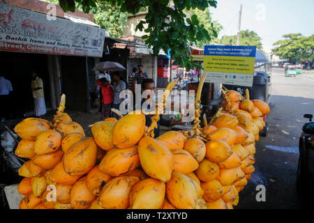 Red King noci di cocco per la vendita su strada in Colombo, Sri Lanka Foto Stock