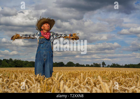 Uomo caucasico vestito come uno spauracchio in un wheatfield Foto Stock