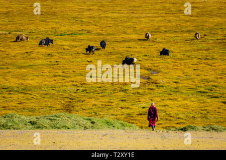 Incredibile Pamir Highway in Tagikistan, dell'Asia centrale Foto Stock