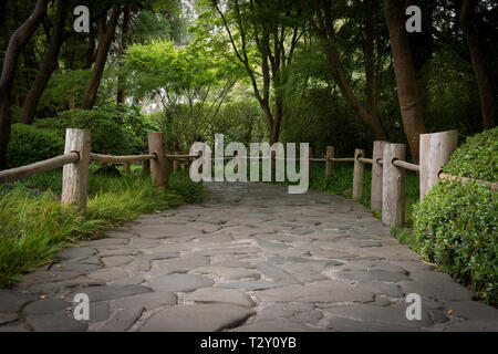 In ciottoli di percorso attraverso la foresta con molta vegetazione girato durante il giorno. Sfondo, pacifica e viaggio. Foto Stock