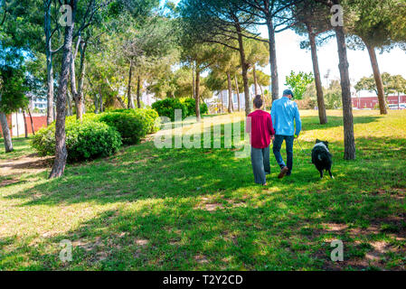 Vista posteriore del giovane e il cane a camminare in posizione di parcheggio Foto Stock