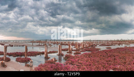 Nuvole temporalesche su Kuyalnik salato estuario di essiccazione a Odessa, Ucraina Foto Stock