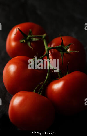 Pomodori (Solanum Lycopersicum) sulla vite, su uno sfondo scuro. Foto Stock