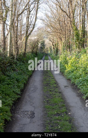 Healeys Cornish sidro Farm Foto Stock