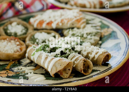 Tacos dorados, flautas de pollo, pollo tacos e salsa piccante in casa cibo messicano in Messico Foto Stock