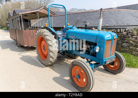 Trattore Massey Ferguson a Healeys Cornish sidro Farm Foto Stock