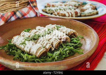 Tacos dorados, flautas de pollo, pollo tacos e salsa piccante in casa cibo messicano in Messico Foto Stock