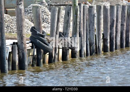 Vecchi pneumatici per il riutilizzo e il riciclo di gomma su un dock come barca i bumper in Maryland Foto Stock