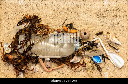 Real la bottiglia di plastica con tappo e paglia di plastica lavati fino sulla spiaggia miscelati con alghe marine e conchiglie di piume. Uso singola inquinamento in plastica Foto Stock