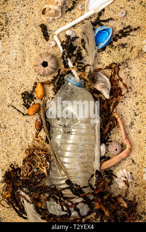 Real la bottiglia di plastica con tappo e paglia di plastica lavati fino sulla spiaggia miscelati con alghe marine e conchiglie di piume. Uso singola inquinamento in plastica Foto Stock