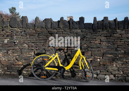 Ofo ciclo noleggio appoggiata contro un muro di pietra in una giornata di sole Foto Stock