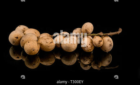 Lansium parasiticum o Duku è un tipo di frutta da membri della tribù Meliaceae. proveniente da western Southeast Asia somiglianze con langsat Foto Stock