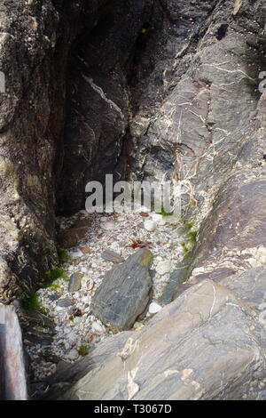 Piccolo giro Rockpool con ciottoli di quarzo. Foreshore lungo la spiaggia Mouthwell, Speranza Cove, South Devon, Regno Unito. Foto Stock