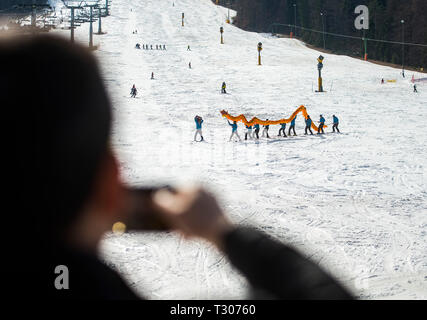 KRANJSKA Gora, Slovenia - 16 Marzo 2019: gli sciatori da uno della scuola di sci con il drago cinese, visto per la prima volta in assoluto sugli sci. Foto Stock