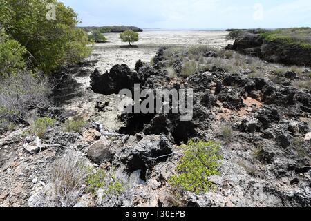 Le formazioni rocciose di Turtle Beach/Heron punto su Azura Quilalea isola privata, Quirimbas arcipelago, Mozambico, Africa Foto Stock