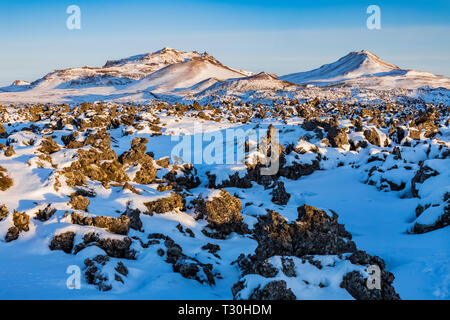 Berserkjahraun campo di lava a Bjarnarhofn sulla penisola Snaefellsnes di Islanda Foto Stock