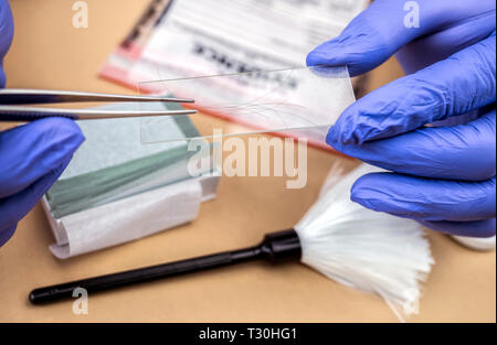 Laboratorio Criminalistic, analisi del capello, immagine concettuale Foto Stock