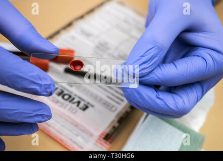 Funzionario di polizia criminologia prende i campioni di sangue di omicidio, immagine concettuale Foto Stock