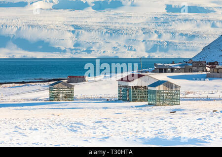 Le strutture per l'essiccamento del pesce nella regione Westfjords dell Islanda [alcuna proprietà di rilascio; disponibile per editoriale solo licenza] Foto Stock