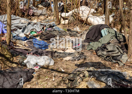 I rifiuti di plastica e bottiglie di vetro, i pacchetti e altri tipi di rifiuti in discarica illegale nel parco. Inquinamento dell ambiente nozione Foto Stock