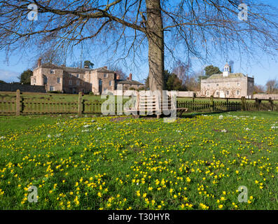 Inverno aconiti e bucaneve nel sagrato della chiesa di San Gregorio con Morville Hall e il Dower House, nei pressi di Bridgnorth, Shropshire. Foto Stock