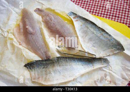 In filetti di filetto di orata pronte per essere cucinate Foto Stock