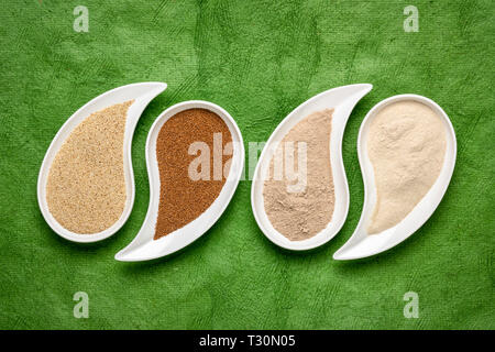 Senza glutine marrone e avorio teff grano e farina a forma di lacrima bocce contro verde carta testurizzata - importante grano di cibo in Etiopia e in Eritrea Foto Stock