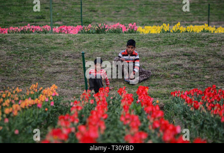 3 aprile 2019 - Bambini e adulti a piedi attraverso i colorati e profumati fiori di tulipani a Indira Gandhi Memorial Tulip Garden a Srinagar, in indiano Kashmir amministrato il 3 aprile 2019. Il giardino, che si trova sulle colline pedemontane del Zabarwan gamma, è costruito su un terreno in pendenza di 7 terrazze e si sviluppa su una superficie di circa 30 ettari, affacciato sullo splendido dal lago. Si è ritenuto in Asia il più grande giardino di tulipani, ed è la casa di 46 varietà di tulipani, che coprono le aree principali dello spazio, ma anche per altre specie di fiori. Il giardino è stato costruito in 2 Foto Stock