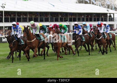 Eglinton, Liverpool, Regno Unito. Gen 5, 2019. 16:05 - Sanità Randox Topham Chase Handicap (grado 3) (Corso nazionale) (classe 1) (5YO plus) 2m 5f Credito: MediaWorldImages/Alamy Live News Foto Stock