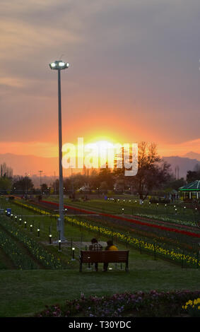 3 aprile 2019 - Bambini e adulti a piedi attraverso i colorati e profumati fiori di tulipani a Indira Gandhi Memorial Tulip Garden a Srinagar, in indiano Kashmir amministrato il 3 aprile 2019. Il giardino, che si trova sulle colline pedemontane del Zabarwan gamma, è costruito su un terreno in pendenza di 7 terrazze e si sviluppa su una superficie di circa 30 ettari, affacciato sullo splendido dal lago. Si è ritenuto in Asia il più grande giardino di tulipani, ed è la casa di 46 varietà di tulipani, che coprono le aree principali dello spazio, ma anche per altre specie di fiori. Il giardino è stato costruito in 2 Foto Stock