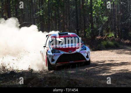 Nannup, Australia occidentale, Australia. 6 apr, 2019. ARC CAMME Australian Rally Championship Round 1, giorno 2; il numero 7 Toyota Yaris pilotato da Lewis Bates e co-guidato da Anthony Mcloughlin durante la fase di Galena Credito: Azione Sport Plus/Alamy Live News Foto Stock