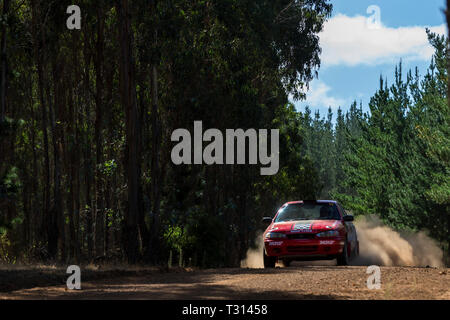 Nannup, Australia occidentale, Australia. 6 apr, 2019. ARC CAMME Australian Rally Championship Round 1, giorno 2; il numero 11 Hyundai Lantra pilotato da Haowen Chu e co-azionato da Caleb ceneri durante la fase di Galena Credito: Azione Sport Plus/Alamy Live News Foto Stock