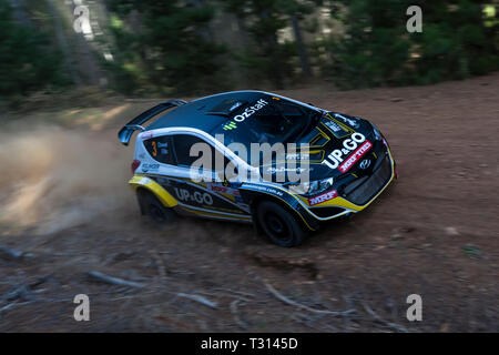 Nannup, Australia occidentale, Australia. 6 apr, 2019. ARC CAMME Australian Rally Championship Round 1, giorno 2; il numero 3 Hyundai i20 pilotati da Troy grano e co-guidato da Simon Ellis durante la Healthway 1 stadio Credito: Azione Sport Plus/Alamy Live News Foto Stock