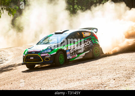 Nannup, Australia occidentale, Australia. 6 apr, 2019. ARC CAMME Australian Rally Championship Round 1, giorno 2; il numero 2 Ford Fiesta pilotato da Richie Dalton e co-azionato da Dale Moscatt durante la fase di Galena Credito: Azione Sport Plus/Alamy Live News Foto Stock