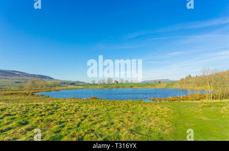 Pinker stagno in primavera, Middleham, vicino Leyburn, North Yorkshire. Un grande tarn con wildfowl. Penhill in background. Paesaggio, orizzontale Foto Stock