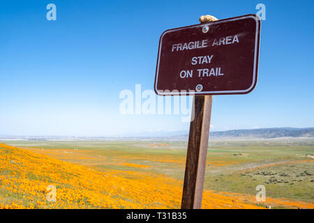 Segno ricorda ai visitatori di rimanere in pista al papavero campi di riserva in California Foto Stock