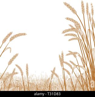 Vista attraverso un campo di grano con erba di frumento trefoli inquadrare la scena in primo piano Illustrazione Vettoriale