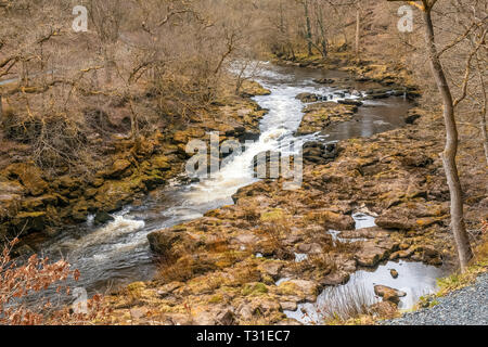 Da Bolton Abbey una piacevole passeggiata lungo il fiume conduce a monte attraverso il bosco fino al 'hotel Astrid, un famigerato tratto di acqua dove il fiume Wharfe è costretto i Foto Stock