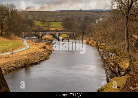 Da Bolton Abbey una piacevole passeggiata lungo il fiume conduce a monte attraverso il bosco fino al 'hotel Astrid, un famigerato tratto di acqua dove il fiume Wharfe è costretto i Foto Stock