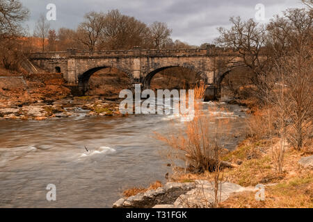 Da Bolton Abbey una piacevole passeggiata lungo il fiume conduce a monte attraverso il bosco fino al 'hotel Astrid, un famigerato tratto di acqua dove il fiume Wharfe è costretto i Foto Stock