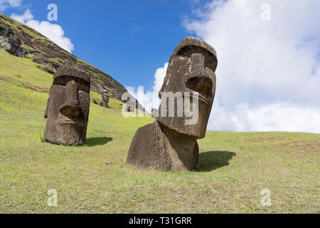 Moais Rano Raraku - Isola di Pasqua Foto Stock